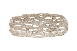 721256 DEKORATIF TABAK 53x22x4cm - 3
