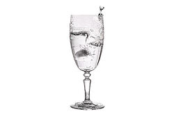 9058935 DAMPIRRE 17cl FLUT BRD 6 LI - Thumbnail