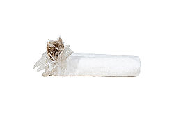 CALBİNA HAVLU KREM 50x90cm - 9