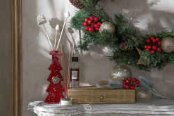 ÇAM AĞAÇLI DEKORATİF KOKU ŞİŞESİ KUTULU SET KIRMIZI - 3