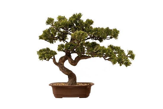 ÇAM BONSAİ YAPAY AĞAÇ 42 CM ( TH106042 )