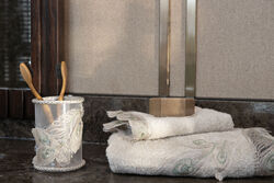 HOME SWEET HOME - CARİLLA DIS FIRCALIK