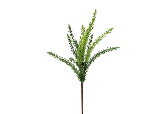 CH01013508 YESIL BITKI(24)
