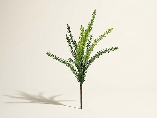 CH01013508 YESIL BITKI(24) - 1
