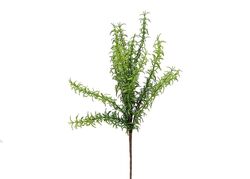 HSH-KRVN ORTAK - CH01013519 YESIL BITKI (12)