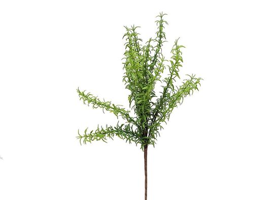 CH01013519 YESIL BITKI (12)