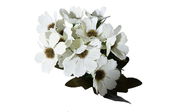 CH01525542 PAPATYA BUKETI BEYAZ 30cm - 2