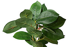 CH03914043 YESIL BITKI DALI 37cm - 2