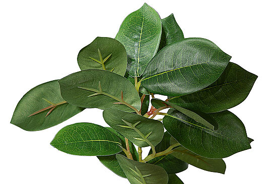 CH03914043 YESIL BITKI DALI 37cm - 2