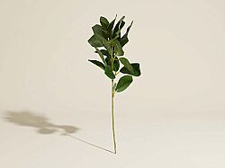 CH03914043 YESIL BITKI DALI 37cm - KERVAN