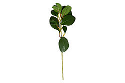 CH03923150 BITKI DALI 37cm - KERVAN