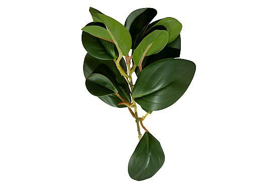 CH03923150 BITKI DALI 37cm - 2