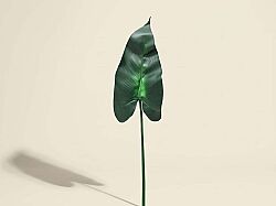 CH07712371 ZAMBAK YAPRAGI 120cm (12) - HSH-KRVN ORTAK