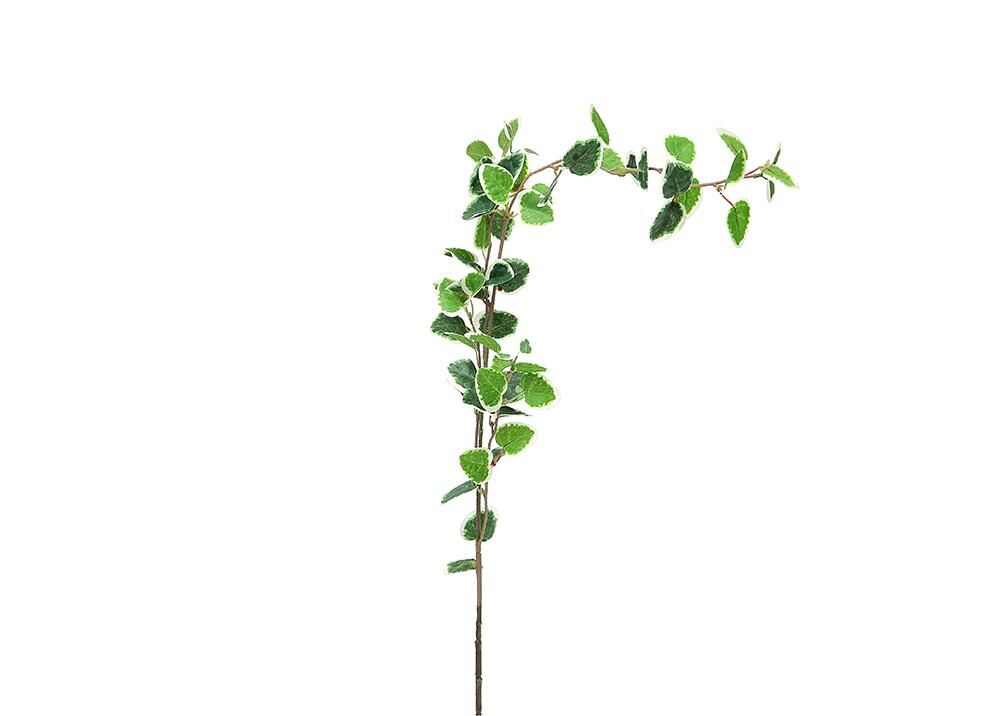 CH10609929 SARMASIK 70cm(12) Kervan Mobilya CH10609929 SARMASIK 70cm(12) Kervan Mobilya