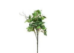 HSH-KRVN ORTAK - CH10611929 SARMASIK 30cm (24)