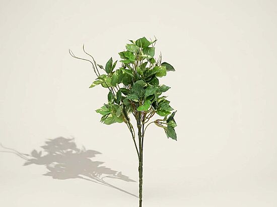 CH10611929 SARMASIK 30cm (24) - 1