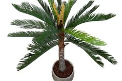 CYCAS PALMIYE YAPAY AGAC BÜYÜK 150cm (759TUF000015) - Thumbnail