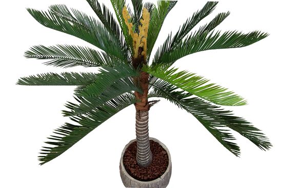 CYCAS PALMIYE YAPAY AGAC BÜYÜK 150cm (759TUF000015)