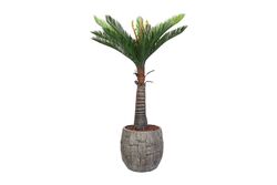 KERVAN - CYCAS PALMIYE YAPAY AGAC KÜÇÜK 120cm (759TUF000014)