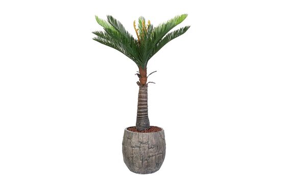 CYCAS PALMIYE YAPAY AGAC KÜÇÜK 120cm (759TUF000014)