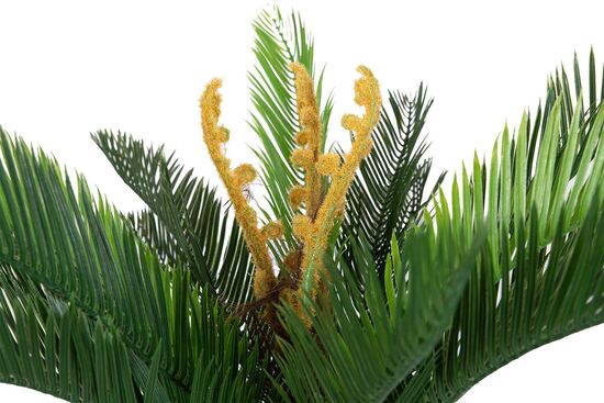 CYCAS PALMIYE YAPAY AGAC KÜÇÜK 120cm (759TUF000014)