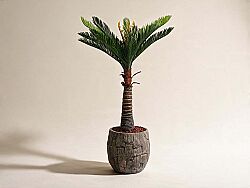 CYCAS PALMIYE YAPAY AGAC KÜÇÜK 120cm (759TUF000014) - KERVAN