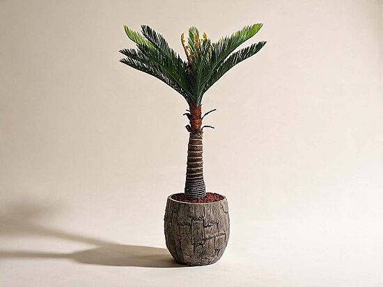 CYCAS PALMIYE YAPAY AGAC KÜÇÜK 120cm (759TUF000014) - 1