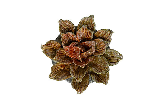 DEKORATİF AKSESUAR 15.5X15.5X5 CM ZY24040C-1171 - 3