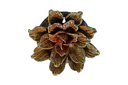 DEKORATİF AKSESUAR 15.5X15.5X5 CM ZY24040C-1171 - 2