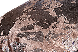 DESPER KIRLENT 45X45 CM VİZON - 2