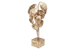 DEVE TABANI LAMBADER 150cm - 3