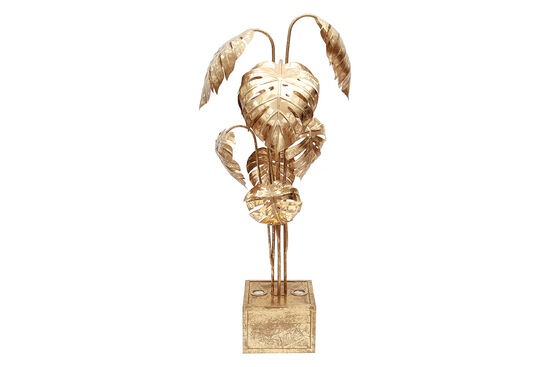 DEVE TABANI LAMBADER 150cm - 2