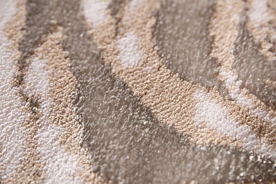 ELLOY PASPAS EKRU-BEJ-SİLVER 60x100cm - 5