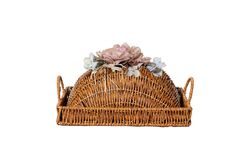 TEPSİ - FLORAL KAPAKLI DİKD. TEPSİ (S) 22X31 CM (SPT-279)