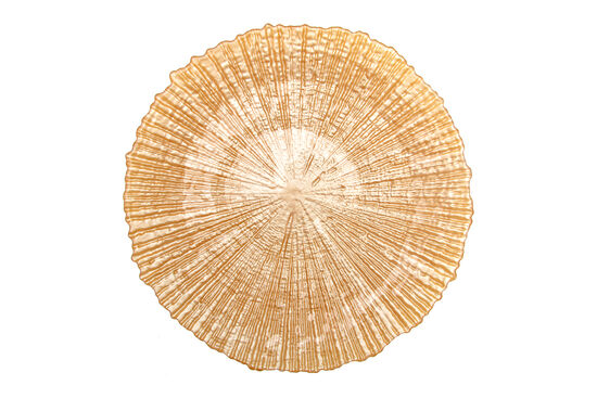 FOCUS TABAK GOLD 28x2.2cm(5649)