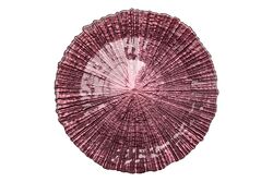 FOCUS TABAK PEMBE 28x2.2cm(5649) - Thumbnail