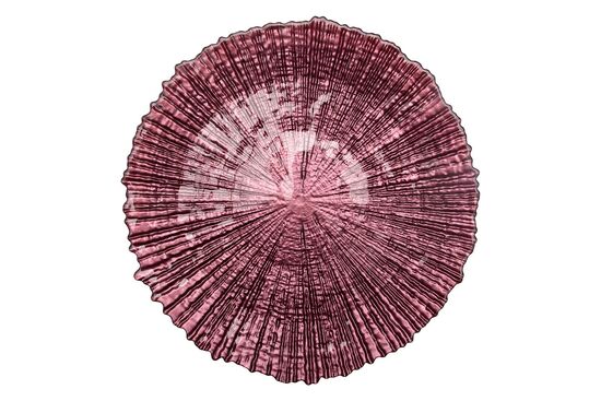 FOCUS TABAK PEMBE 34x2.3cm(5647)