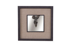 GEYIK AYNALI TABLO-3 (65700137) 40x40 cm - 