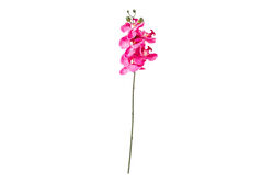 SWEET FLOWERS - HA3HS19001JFS3 ORKIDE PEMBE 53cm