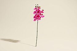 ORKIDE PEMBE (HA3HS19001JFS3) 53cm - SWEET FLOWERS