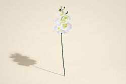 ORKIDE BEYAZ (HA3HS19001JWH2) 52cm - SWEET FLOWERS