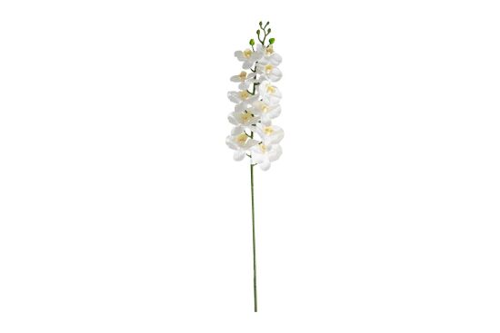 HA3HY111A20WH YAPAY TEKLİ ORKİDE BEYAZ 104 CM - 1