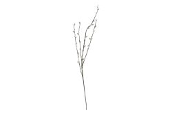 HA4CL234955FGY KEDİ SÖĞÜT DALI GRİ 95 CM - YAPAY ÇİÇEK