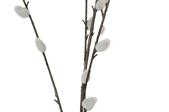 HA4CL234955FGY KEDİ SÖĞÜT DALI GRİ 95 CM - 2
