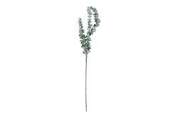 SWEET FLOWERS - HA4HG1801382GN OKALİPTUS DALI 76cm