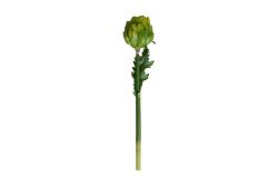 HA4HN230323GN1 YAPAY KÖK YEŞİL 39,5CM - YAPAY ÇİÇEK