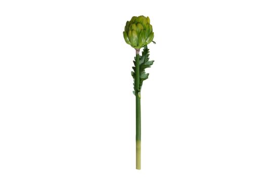 HA4HN230323GN1 YAPAY KÖK YEŞİL 39,5CM - 1
