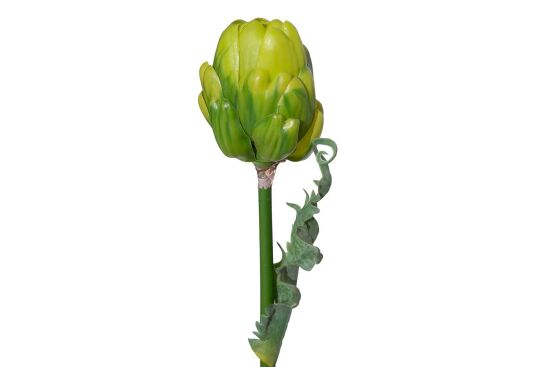 HA4HN230323GN1 YAPAY KÖK YEŞİL 39,5CM - 2