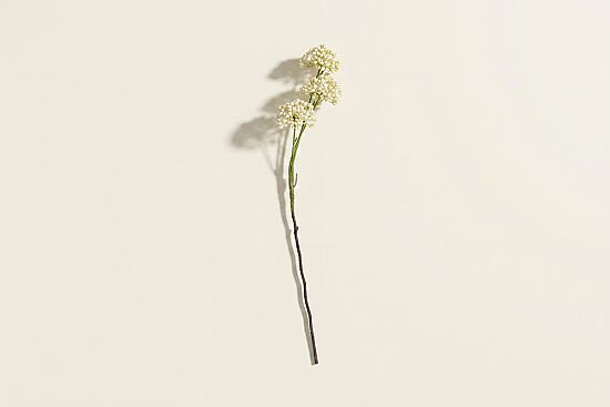 HA4JL2853WH1 MINI ALLIUM DALI - 1