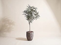 HA4LY208150A HACKBERRY YEŞİL 180 CM (759TUF000005) - YAPAY ÇİÇEK